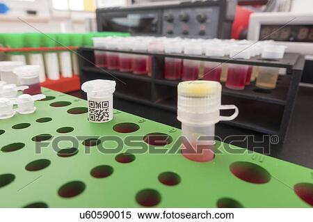 Stock Photography - Test tubes in a rack. Fotosearch