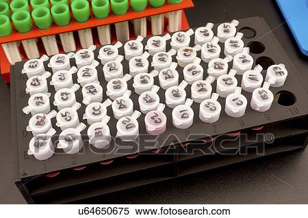 Stock Photography - Test tubes in a rack. Fotosearch