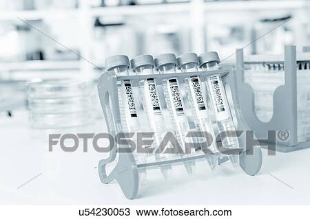 Stock Image - Test tubes in a test tube rack. Fotosearch