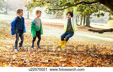 Stock Image - Three boys in park, in autumn, one boy swinging on tree. Fotosearch