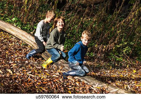 Three boys, outdoors, sitting on log, surrounded by autumn leaves View Large Photo Image Picture - Three boys, outdoors, sitting on log, surrounded by autumn leaves. Fotosearch