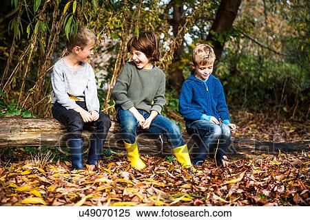 Stock Photography - Three boys, outdoors, sitting on log, surrounded by autumn leaves. Fotosearch