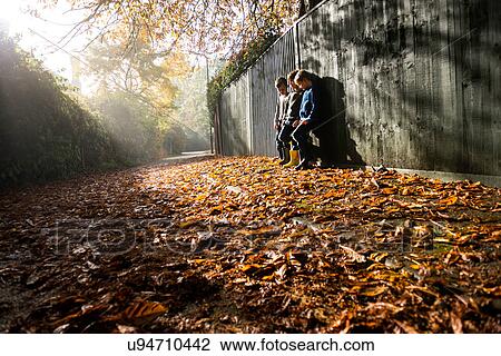 Stock Image - Three young boys, leaning against fence, surrounded by autumn leaves. Fotosearch