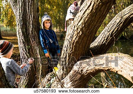 Three young boys, leaning against tree View Large Photo Image Stock Image - Three young boys, leaning against tree. Fotosearch