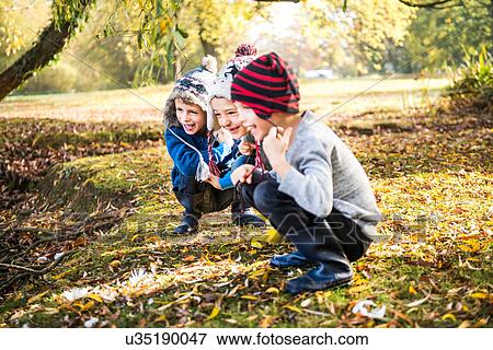 Three young boys, playing outdoors, crouching in autumn leaves View Large Photo Image Stock Photo - Three young boys, playing outdoors, crouching in autumn leaves. Fotosearch