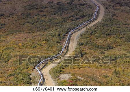 Trans-Alaska Pipeline moves crude oil to Valdez, Alaaska View Large Photo Image Stock Image - Trans-Alaska Pipeline moves crude oil to Valdez, Alaaska. Fotosearch