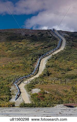 Stock Photo - Trans-Alaska Pipeline moves crude oil to Valdez, Alaaska. Fotosearch