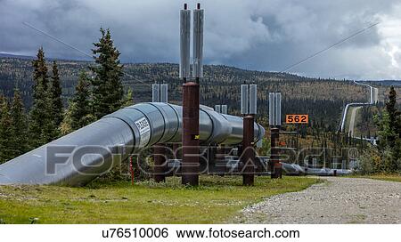 Trans-Alaska Pipeline moves crude oil to Valdez, Alaaska View Large Photo Image Stock Photograph - Trans-Alaska Pipeline moves crude oil to Valdez, Alaaska. Fotosearch