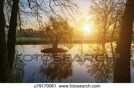 Stock Image - Trees and lake at sunrise. Fotosearch