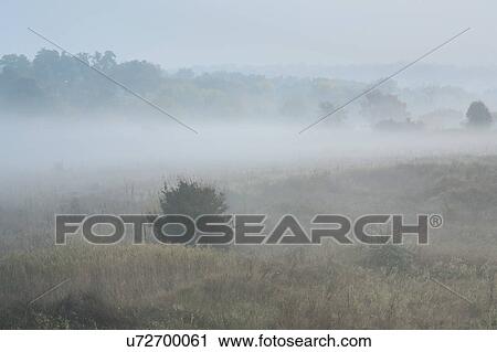 Stock Image - Ukraine, Dnepropetrovsk region, Novomoskovsk district, Fog covering meadow. Fotosearch