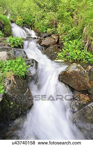 Ukraine, Ivano-Frankivsk region, Verkhovyna district, Carpathians, Dzembronskie waterfalls View Large Photo Image Stock Photo - Ukraine, Ivano-Frankivsk region, Verkhovyna district, Carpathians, Dzembronskie waterfalls. Fotosearch