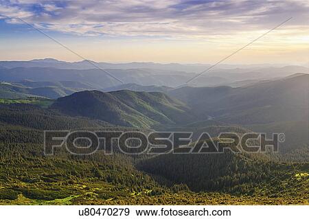 Ukraine, Ivano-Frankivsk region, Verkhovyna district, Carpathians, Chernohora, Mountain landscape covered with forest View Large Photo Image Stock Photo - Ukraine, Ivano-Frankivsk region, Verkhovyna district, Carpathians, Chernohora, Mountain landscape covered with forest. Fotosearch