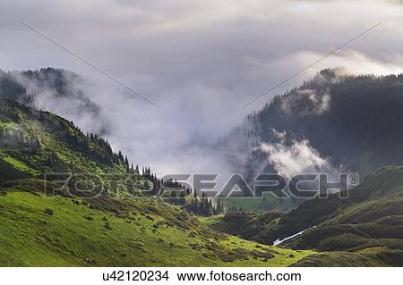 Ukraine, Zakarpattia, Rakhiv district, Carpathians, Maramures, Mountain landscape View Large Photo Image Picture - Ukraine, Zakarpattia, Rakhiv district, Carpathians, Maramures, Mountain landscape. Fotosearch