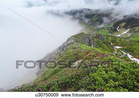 Stock Photo - Ukraine, Zakarpattia, Rakhiv district, Carpathians, Maramures, Mountain landscape. Fotosearch