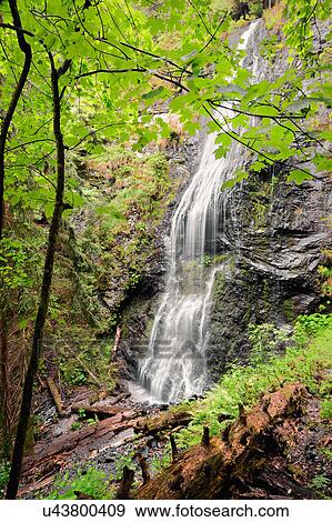 Stock Photo - Ukraine, Zakarpattia, Rakhiv district, Carpathians, Majestic cascade waterfall in forest. Fotosearch
