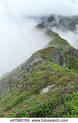 Stock Photo - Ukraine, Zakarpattia, Rakhiv district, Carpathians, Maramures, Mountain landscape. Fotosearch