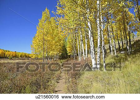 Stock Photograph - USA, Colorado, Kenosha Pass on sunny day. Fotosearch