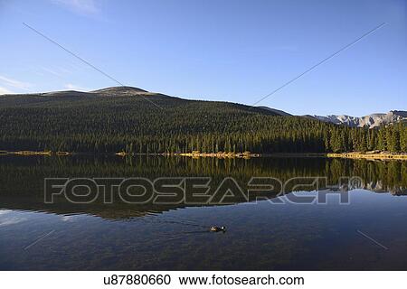 Stock Image - USA, Colorado, Mount Evans and forest reflecting in Echo Lake. Fotosearch