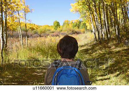 Stock Image - USA, Colorado, Rear view of hiker at Kenosha Pass. Fotosearch