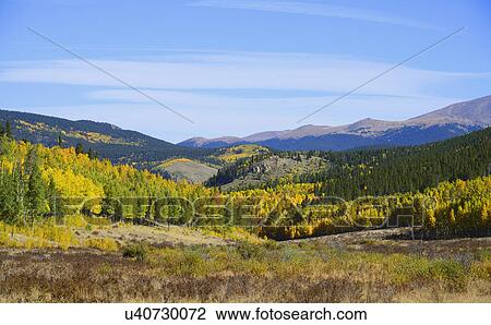 Stock Image - USA, Colorado, Scenic view of Kenosha Pass. Fotosearch