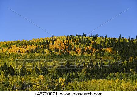 Stock Image - USA, Colorado, Scenic view of Kenosha Pass. Fotosearch