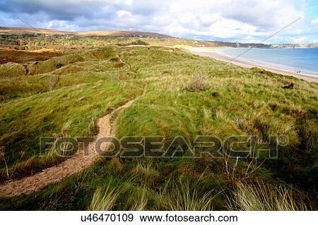 Stock Photo - View of Oxwich bay from the dunes, Gower, Wales. Fotosearch