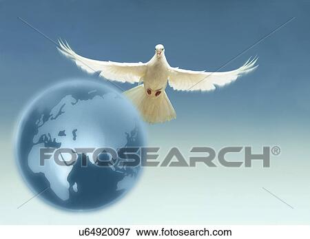 White dove above terrestrial globe View Large Photo Image Stock Photo - White dove above terrestrial globe. Fotosearch
