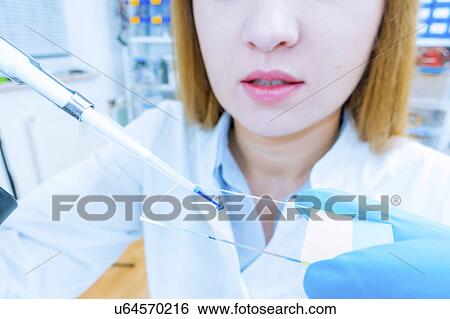 Stock Photograph - Woman dripping liquid onto a microscope slide. Fotosearch
