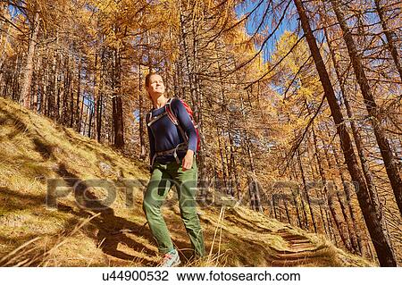 Woman hiking, looking at view, low angle view, Schnalstal, South Tyrol, Italy View Large Photo Image Stock Image - Woman hiking, looking at view, low angle view, Schnalstal, South Tyrol, Italy. Fotosearch