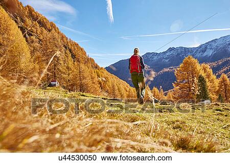 Woman hiking, rear view, Schnalstal, South Tyrol, Italy View Large Photo Image Stock Image - Woman hiking, rear view, Schnalstal, South Tyrol, Italy. Fotosearch