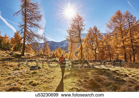 Woman hiking, rear view, Schnalstal, South Tyrol, Italy View Large Photo Image Stock Photo - Woman hiking, rear view, Schnalstal, South Tyrol, Italy. Fotosearch