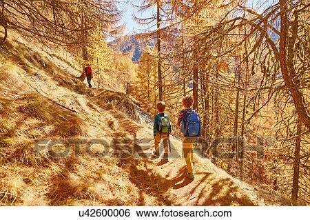 Stock Photograph - Woman hiking, rear view, Schnalstal, South Tyrol, Italy. Fotosearch