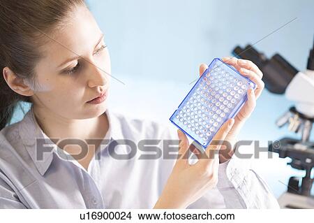 Woman holding micro plate View Large Photo Image Picture - Woman holding micro plate. Fotosearch