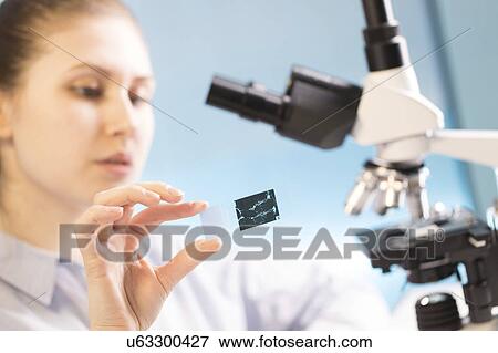 Woman holding microscope slide View Large Photo Image Stock Photo - Woman holding microscope slide. Fotosearch