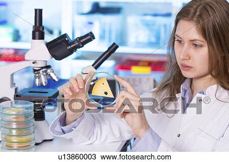 Woman in food quality control laboratory View Large Photo Image Stock Image - Woman in food quality control laboratory. Fotosearch