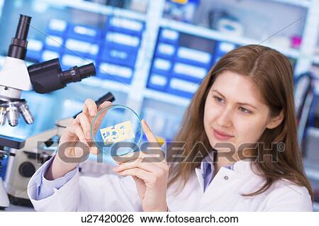 Stock Photograph - Woman in food quality control laboratory. Fotosearch