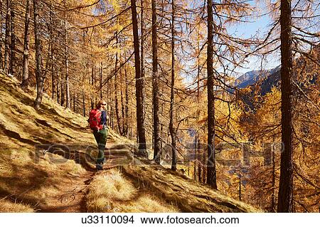 Picture - Woman looking at view, Schnalstal, South Tyrol, Italy. Fotosearch