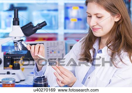 Woman placing sample on to microscope slide View Large Photo Image Stock Photo - Woman placing sample on to microscope slide. Fotosearch