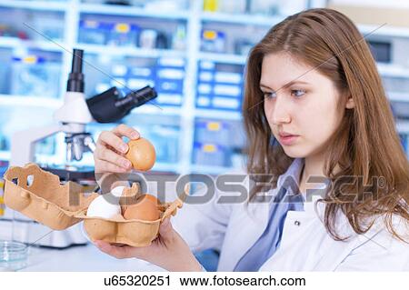 Woman testing eggs in food quality control laboratory View Large Photo Image Stock Image - Woman testing eggs in food quality control laboratory. Fotosearch