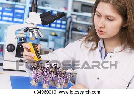 Stock Photo - Woman working in microbiological laboratory. Fotosearch