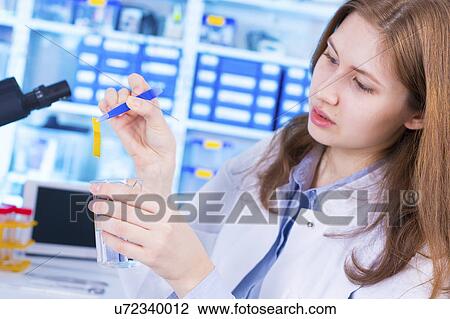Woman working View Large Photo Image Stock Image - Woman working. Fotosearch