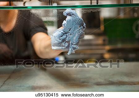 Woman's hand cleaning display case glass in cafe View Large Photo Image Stock Photography - Woman's hand cleaning display case glass in cafe. Fotosearch