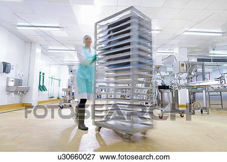 Worker pushing trolley of ready made meals in Asian food factory View Large Photo Image Stock Photo - Worker pushing trolley of ready made meals in Asian food factory. Fotosearch