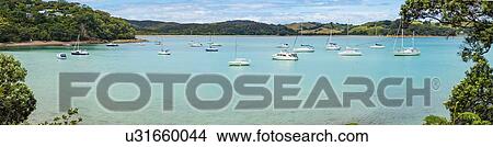 Picture - Yachts in the bay, New Zealand. Fotosearch
