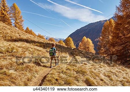Stock Photo - Young boy hiking along pathway, rear view, Schnalstal, South Tyrol, Italy. Fotosearch