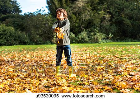 Stock Photography - Young boy, outdoors, gathering autumn leaves. Fotosearch