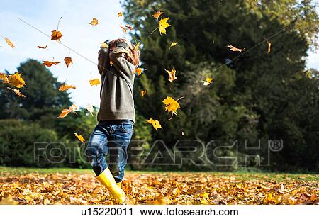 Young boy, outdoors, throwing autumn leaves View Large Photo Image Stock Image - Young boy, outdoors, throwing autumn leaves. Fotosearch