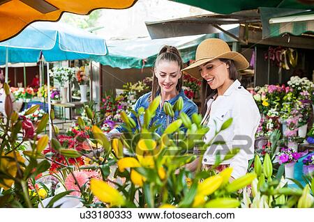 Stock Image - Young female tourist selecting flowers at market stall, Split, Dalmatia, Croatia. Fotosearch