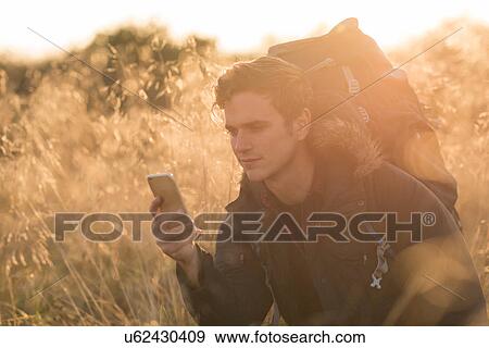 Young man in field, looking at smartphone View Large Photo Image Stock Photo - Young man in field, looking at smartphone. Fotosearch