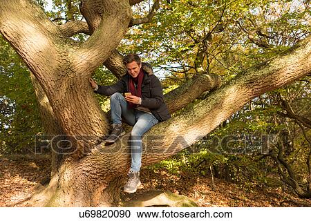 Young man sitting in tree, looking at smartphone View Large Photo Image Stock Image - Young man sitting in tree, looking at smartphone. Fotosearch